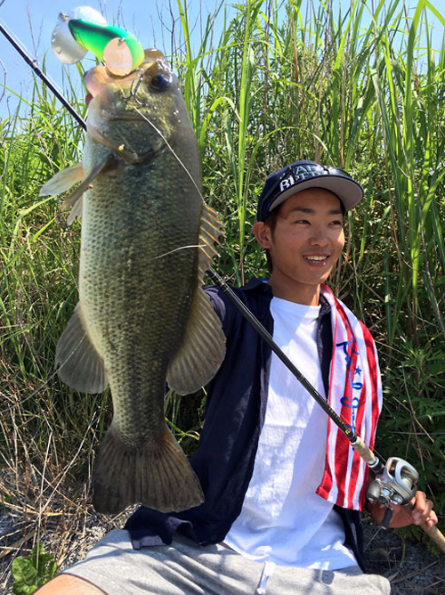 KANTA UEMORI