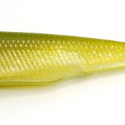 FR73-SWEET FISH-S