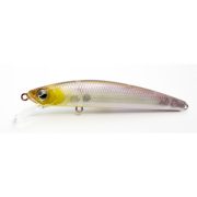 LMQ022-PRIME SHAD