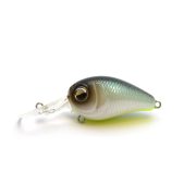LCP013-NEON SHAD