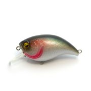 LC027-PEARL TFS
