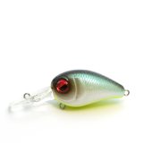 LCP013-NEON SHAD