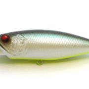 TS026. NEON SHAD