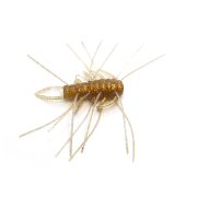 040.GHOST SHRIMP