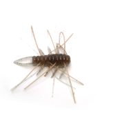 083.SMOKE SHRIMP