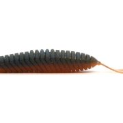127.MUDDY SHRIMP