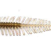 040.GHOST SHRIMP