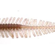 133.CINNAMON SHRIMP 
