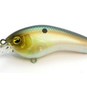 SKM007.MAGICSHAD