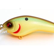 SKM008.CREAM SHAD